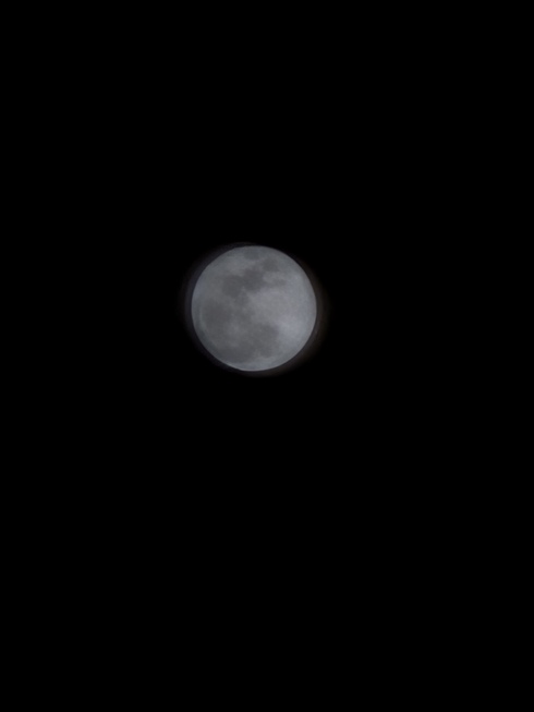 img_20250319-012011.jpg