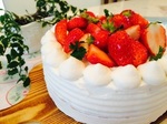 V,低糖質スポンジケーキ