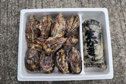 産地直送 相生産 生カキ 商品一覧