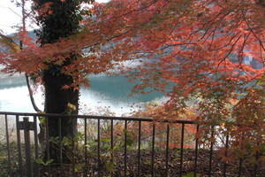 img_20211125-090630.jpg