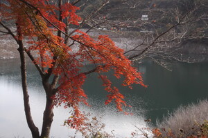img_20211125-091030.jpg