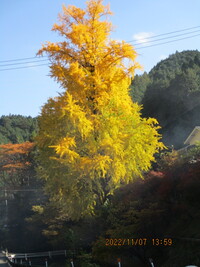 img_20221129-020949.jpg