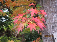 img_20221129-021314.jpg