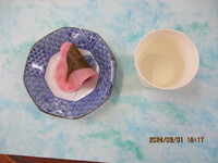 img_20240404-173128.jpg