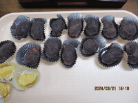 img_20240404-182442.jpg