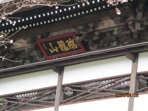 img_20240411-131639.jpg