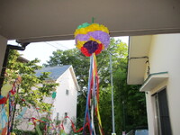 img_20240914-111633.jpg