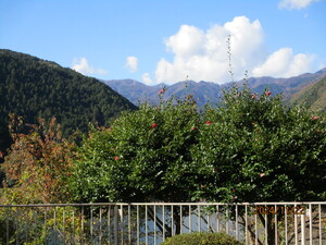 img_20241126-180751.jpg