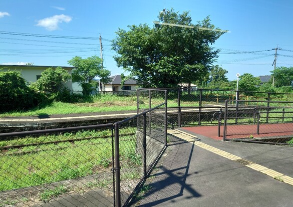 img_20230803-160515.jpg