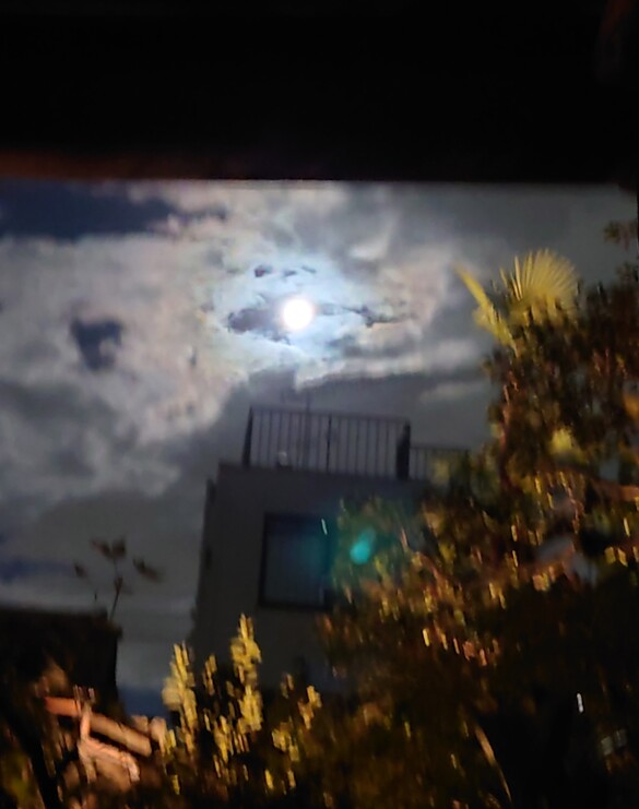 img_20231112-010354.jpg