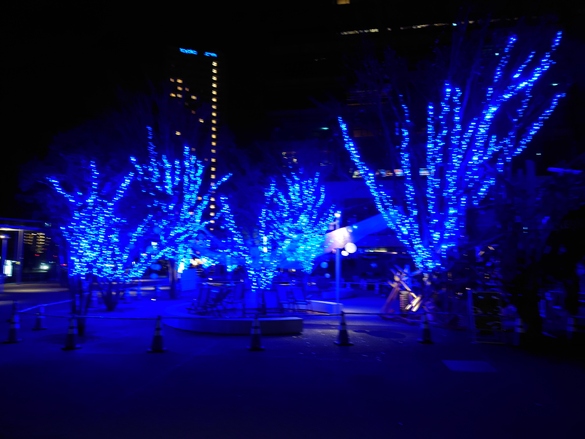 img_20231204-230138.jpg