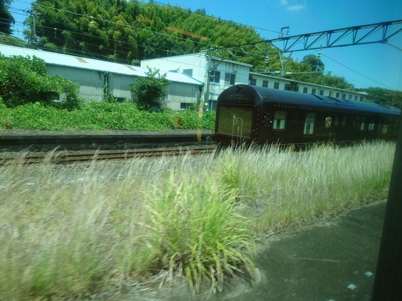 img_20240803-214007.jpg