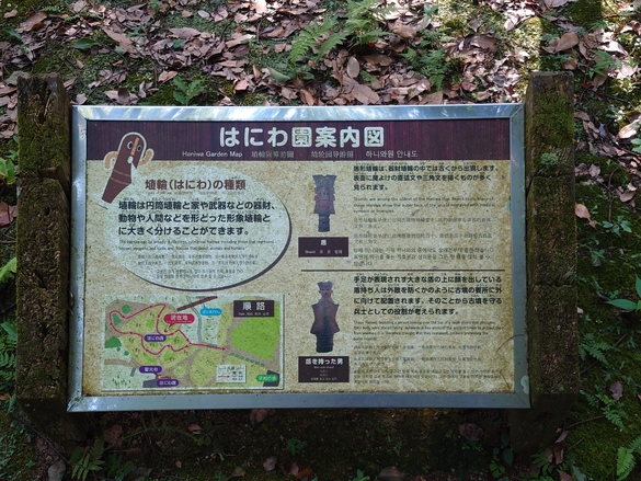 img_20240818-215550.jpg