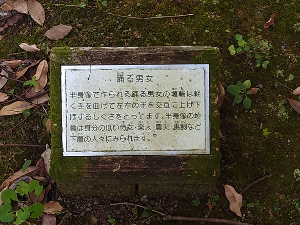 img_20240818-220447.jpg
