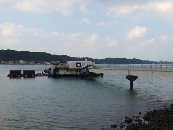 img_20241218-163759.jpg