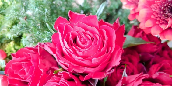 img_20251222-212225.jpg