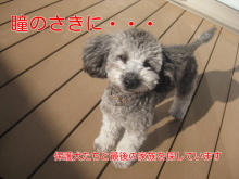 瞳のさきに・・・(岐阜県) バナー