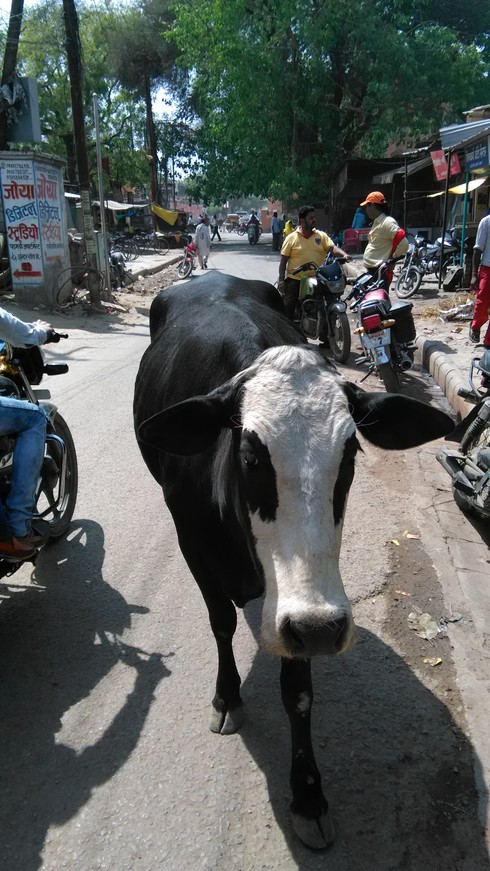 img_20170712-235830.jpg