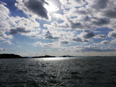 img_20201206-145030.jpg