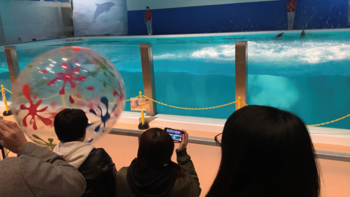 img_20200213-014034.png