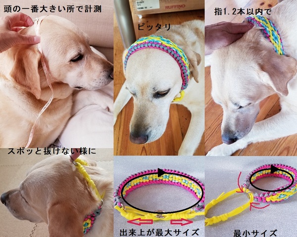 犬 首輪 金具 安い