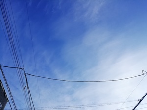 img_20200127-234916.jpg