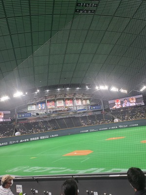 img_20210610-003138.jpg