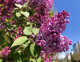 img_20220601-234157.jpg