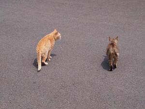 img_20230423-015220.jpg