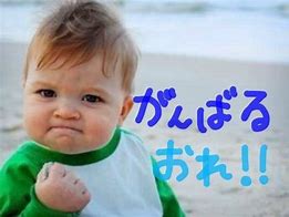 img_20240219-104604.jpg