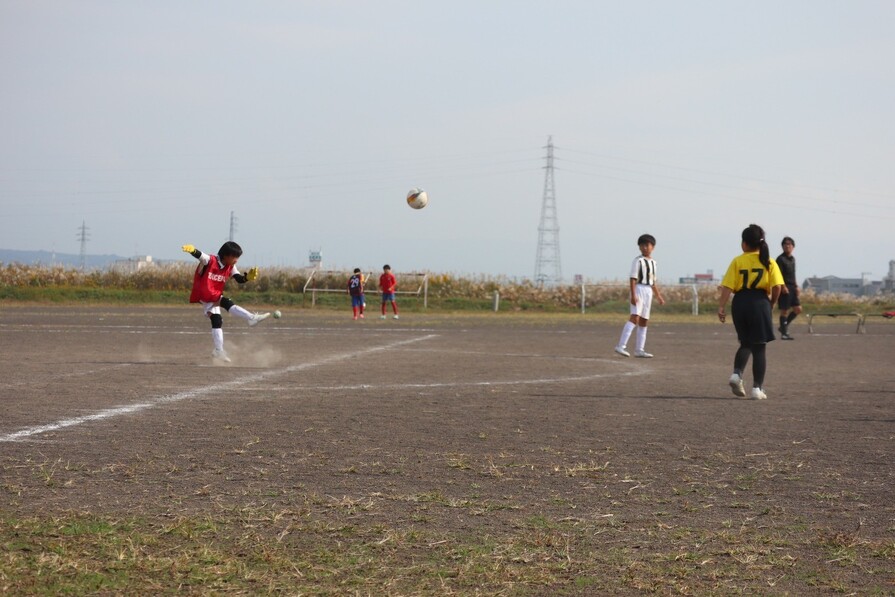 img_20231106-212329.jpg