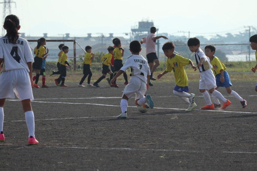 img_20231106-213123.jpg