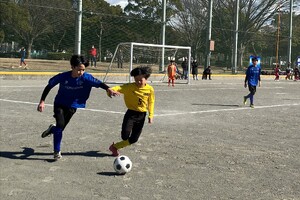 img_20250226-212628.jpg