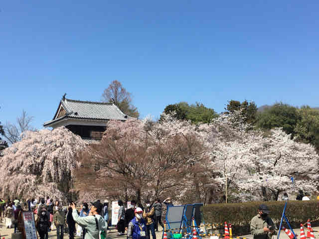 人気推薦　ウクレレ　23インチ　杏子の花　ゴッホ　名画　おしゃれ　コラボ　芸術　木製　職人　ケース付き　d33 Mezco BLADE ブレイド ONE：12COLLECTIVE 1⁄12スケール アクション