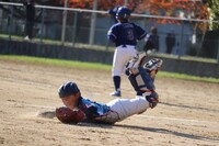 img_20221129-052231.jpg