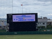 img_20230802-052059.jpg