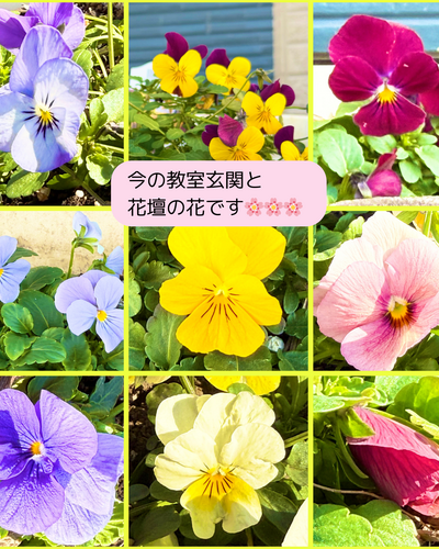 img_20260216-222147.png