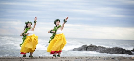 フラ（ダンス）教室 仙台・川崎・杉並・新宿 Hui Hula Na Liko o