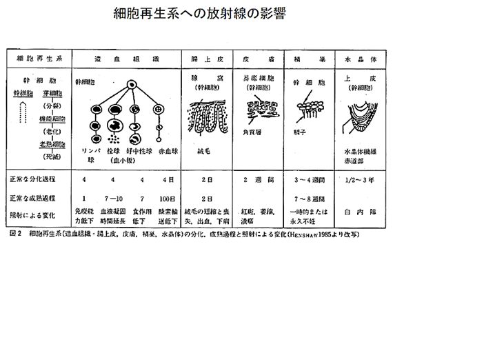 RDAN佐久・放射能測定室 放射線リスクと放射線リスクコミュニケーション(三)
