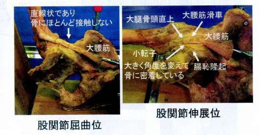 img_20120718-055631.jpg