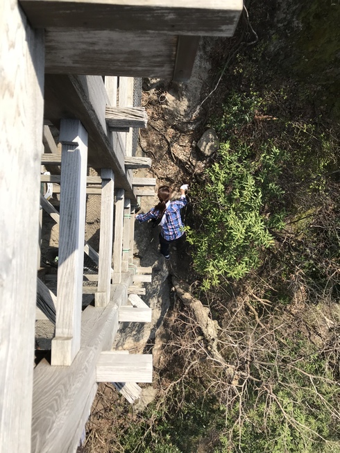 img_20180404-083822.jpg