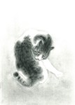班猫（竹内栖鳳 模写）／鉛筆画