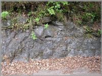 img_20170412-235104.jpg