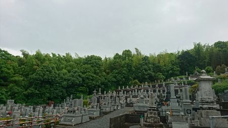 img_20170608-002151.jpg