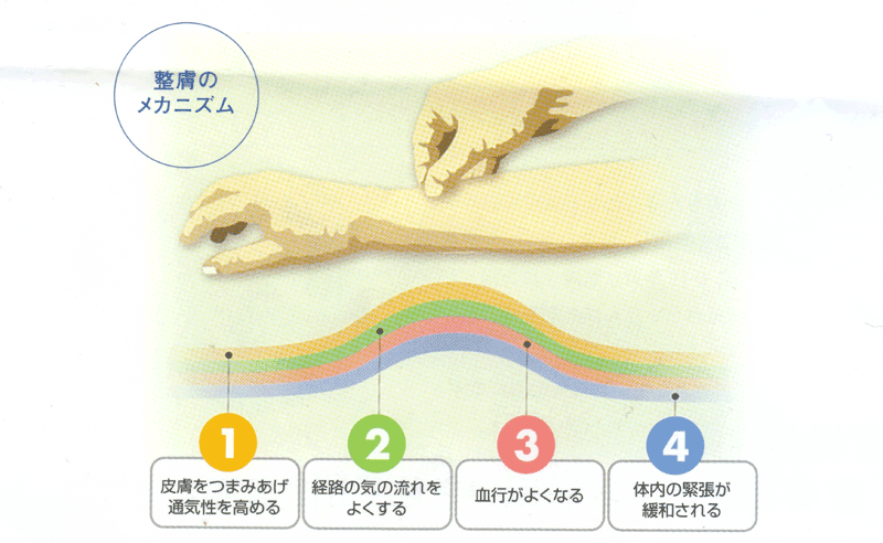 整膚のメカニズム.png