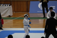 img_20170518-172936.jpg