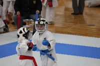 img_20170518-173341.jpg