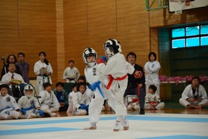 img_20171028-171021.jpg