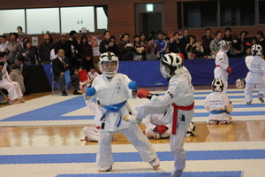 img_20171123-140000.jpg