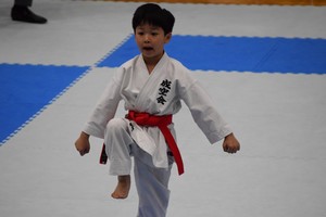 img_20180527-115915.jpg